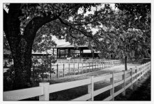 10-25-16 Tradewinds IR     9HBWsm.jpg