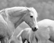 img092_edited_3.jpg