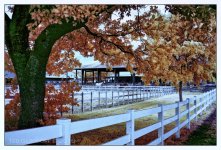 10-25-16 Tradewinds IR     9Hsm.jpg