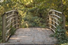 004 vignete low res.jpg