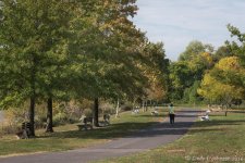 025 vignette low res.jpg