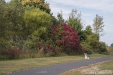 035 vignette low res.jpg