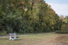 042 vignette low res.jpg