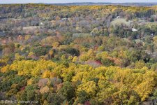 009 vignette low res.jpg