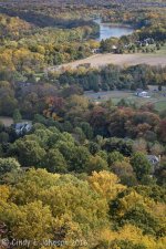 011 vignette low res.jpg