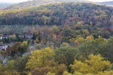 014 vignette low res.jpg