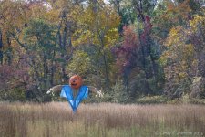 019 vignette low res.jpg