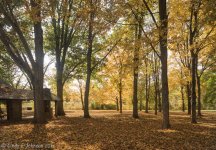 034 vignette low res.jpg