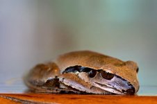 DSC_1574.jpg
