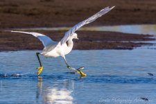 DSC_5815.jpg