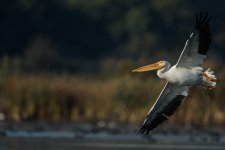 DSC_5473.jpg