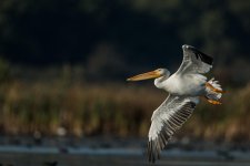 DSC_5474.jpg
