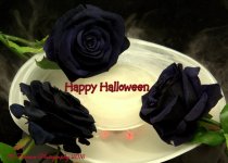 Black Roses Happy Halloween 10-30-2016.jpg
