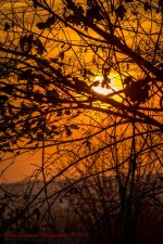 Dawn-6651.jpg