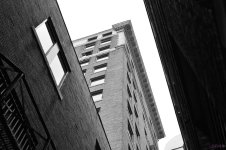 DSC_0215 nxd.jpg