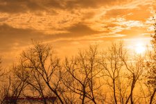 Late afternoon-6664.jpg