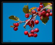 W_DSC_8557.jpg