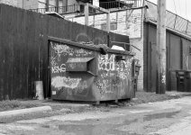 DSC_0238 nxd.jpg
