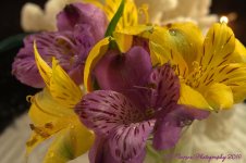 Purple and Yellow Flowers #2 11-3-2016.jpg
