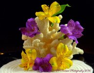 Yellow and Purple Flowers with Coral 11-3-2016.jpg