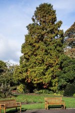 DSC_7145.jpg