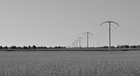 DSC_0394 nxd.jpg