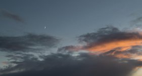 quarter  moon (1 of 1).jpg