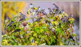 1-DSC_0447-Edit.jpg