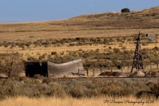 1800's Cabin 11-5-2016.jpg