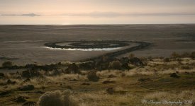 Spiral Jetty 11-5-2016.jpg
