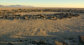 Center of Spiral Jetty #2 11-5-2016.jpg