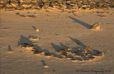 Mini Spiral Jetty #2  11-5-2016.jpg