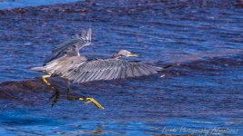 DSC_7185.jpg