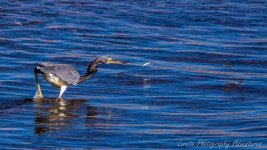 DSC_7192.jpg