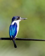 DSC_1964.jpg