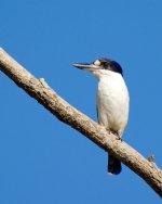 DSC_2073.jpg