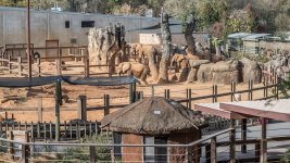 Knoxville Zoo-4782.jpg