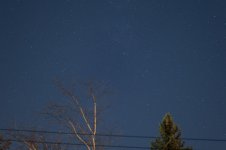 W_DSC_5365_SOOC.jpg