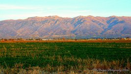 Wasatch Mountains  11-7-2016.jpg