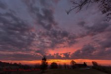 Morning light-6893.jpg