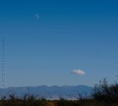 11-8-16-cr__D7K4744.jpg