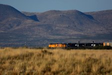 11-8-16-cr__D7K4762.jpg