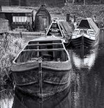 DSC_6885copyB&W.jpg