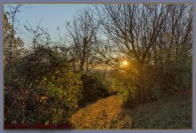 Dawn-6907.jpg