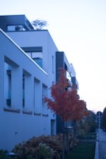 20161026-_DSC5456.jpg