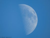 DSCN1320.jpg