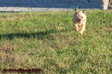 Afternoon walk JG-7309.jpg