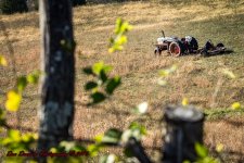 Afternoon walk JG-7243-Edit.jpg