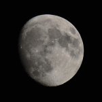 _DSC6660.jpg