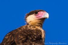 DSC_7983-2.jpg